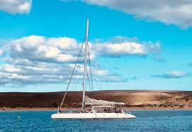 Private catamaran sailing experience